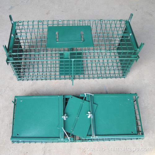 Rat Trap Cage Collapsible Double Doors Pest Animal Trap Cages Manufactory